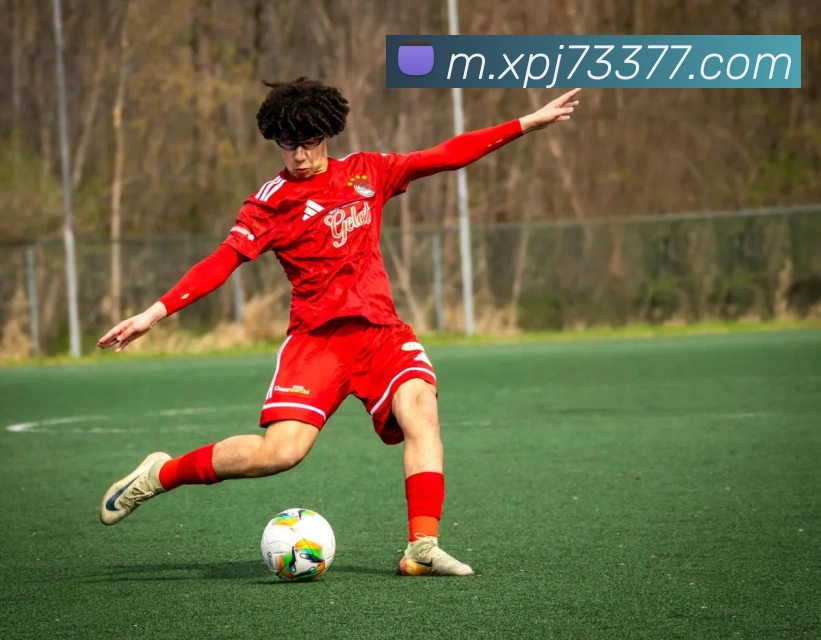 3377APP 封面图